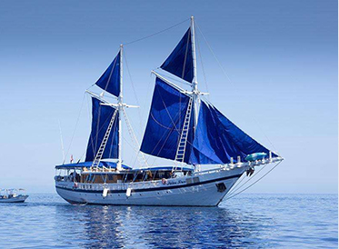 Why choose glass fiber reinforced plastic Park cruise?